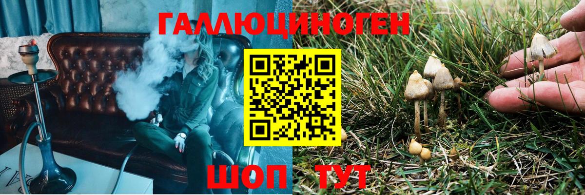Псилоцибиновые грибы GOLDEN TEACHER Находка