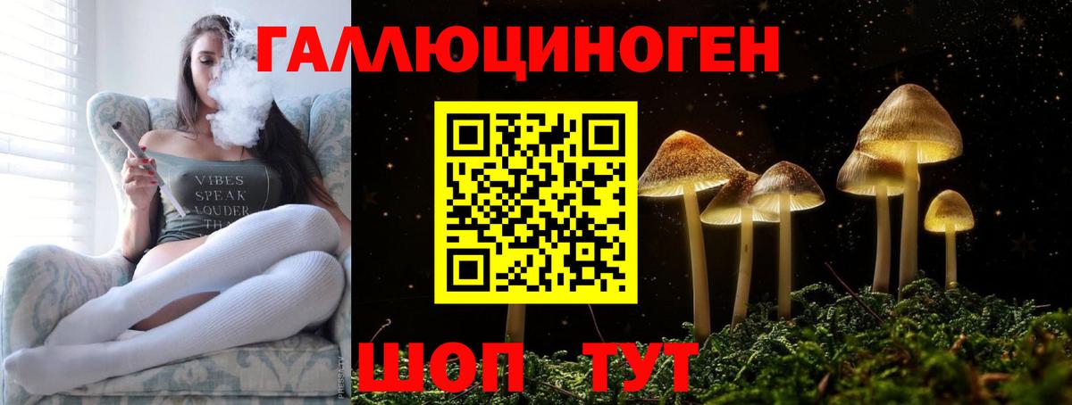 Находка  Псилоцибиновые грибы GOLDEN TEACHER  Галлюциногенные грибы MAGIC MUSHROOMS  Вход с VPN 