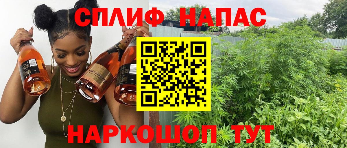 Находка  Канабис гибрид  Шишки марихуана планчик  Вход с VPN 